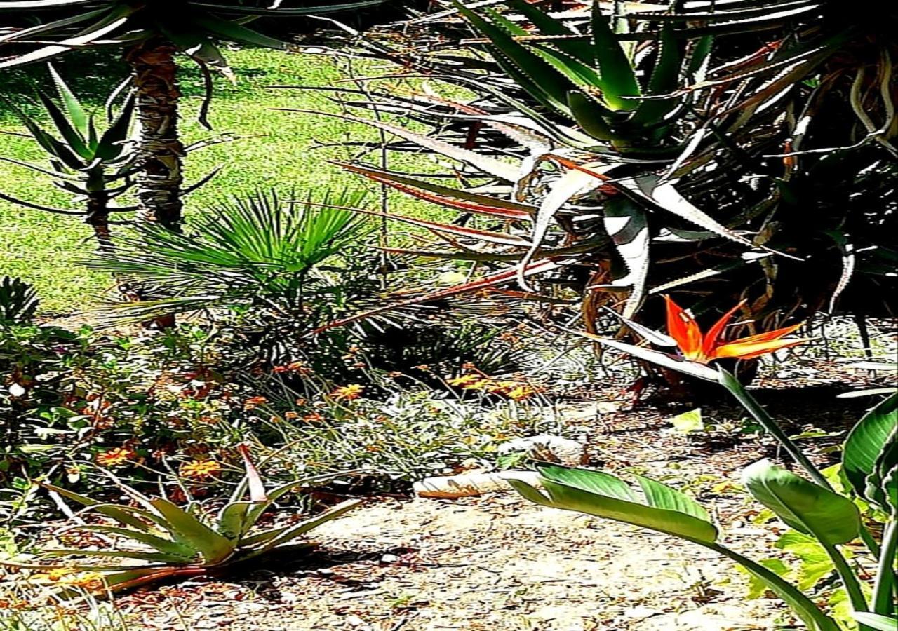 De Wingerd Wijnland Lodge Paarl Bagian luar foto