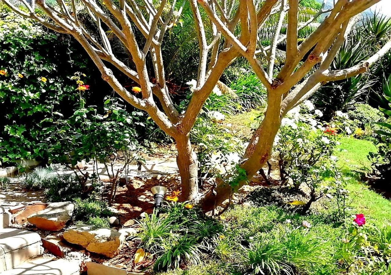 De Wingerd Wijnland Lodge Paarl Bagian luar foto